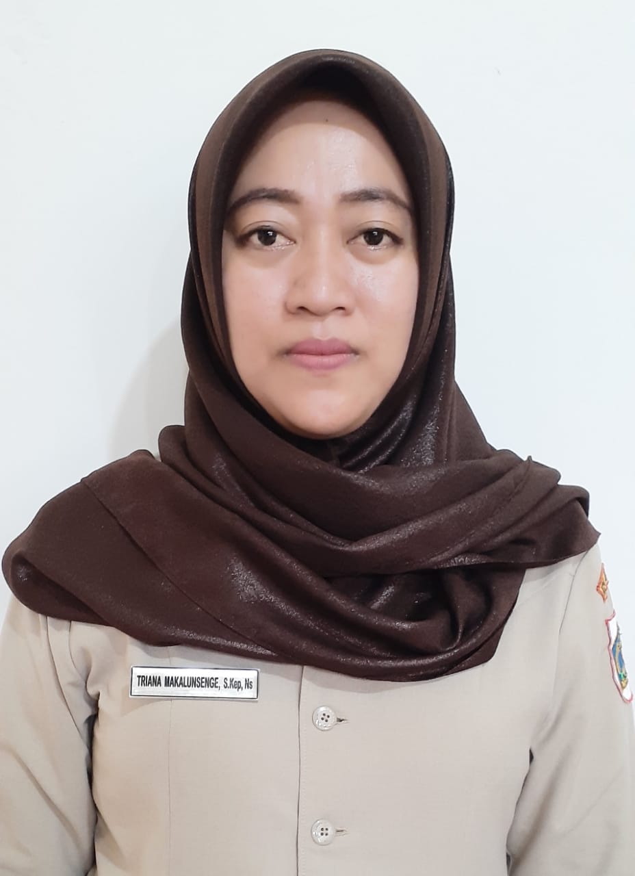 Triana Dini Makalungsenge, S.Kep Ns